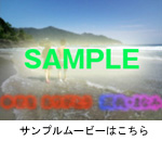 バックストーリーサンプル